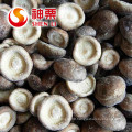 IQF Frozen Shiitake Mushroom whole / slices / 1/4 cuts /quarter